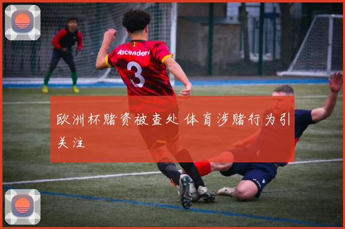 欧洲杯赌资被查处 体育涉赌行为引关注