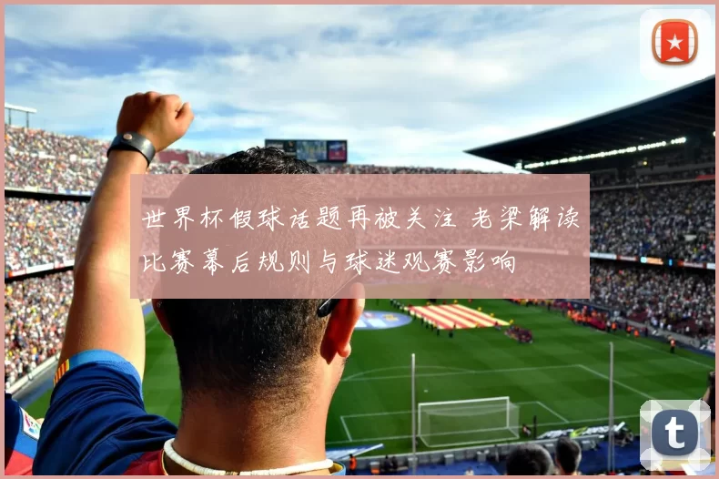 世界杯假球话题再被关注 老梁解读比赛幕后规则与球迷观赛影响