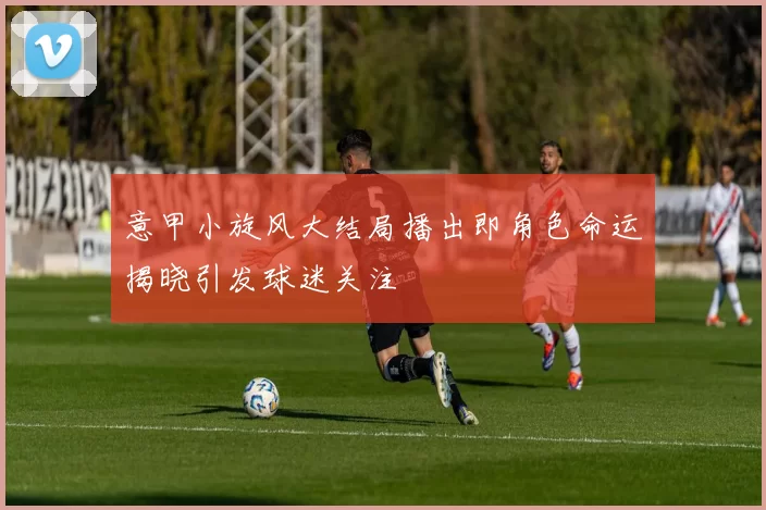 意甲小旋风大结局播出即角色命运揭晓引发球迷关注