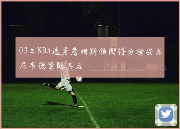 03年NBA选秀詹姆斯领衔得分榜安东尼韦德紧随其后